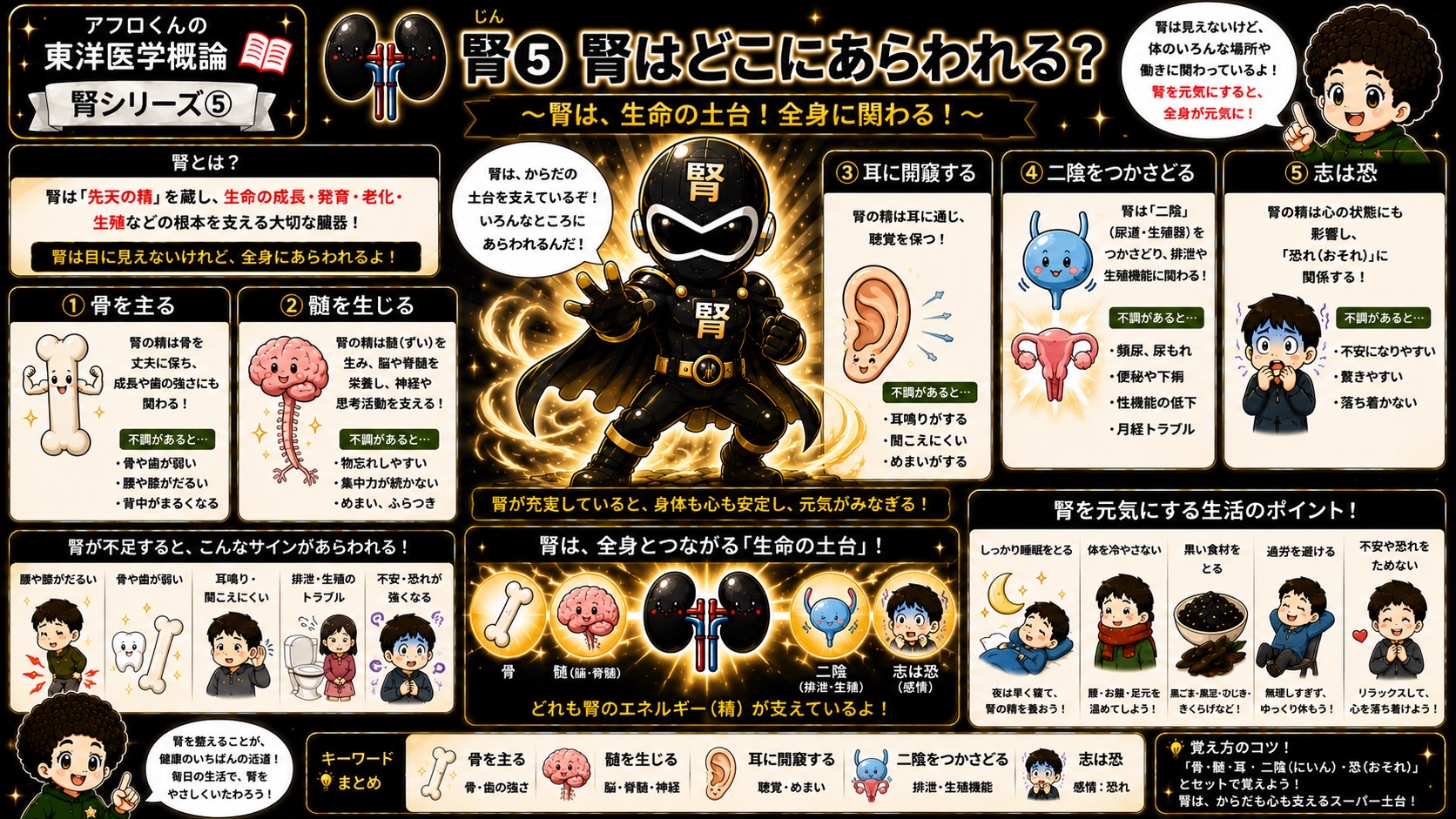 腎はどこにあらわれる？〜腎は生命の土台〜（腎シリーズ⑤）