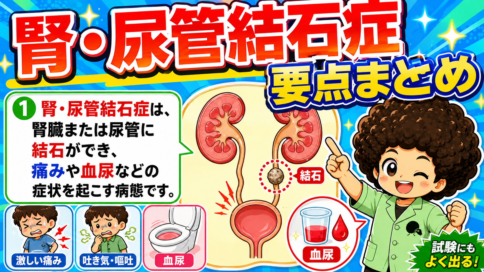 腎・尿管結石症｜腎・尿管結石症 1