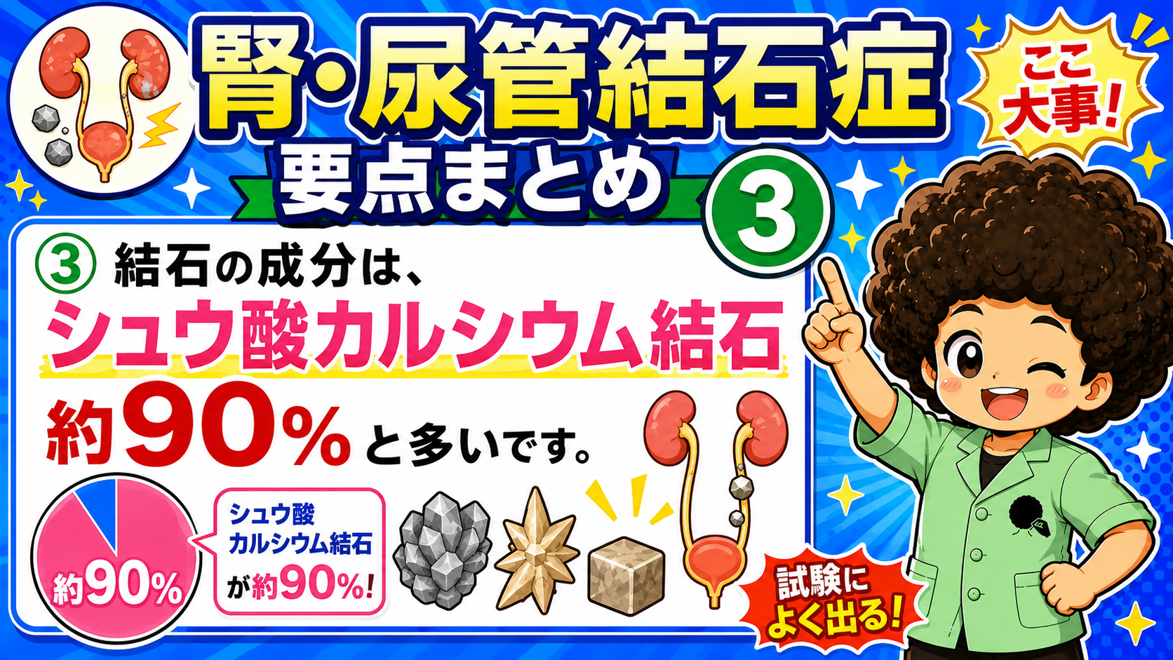 結石の成分はシュウ酸カルシウム結石が約90%と多い