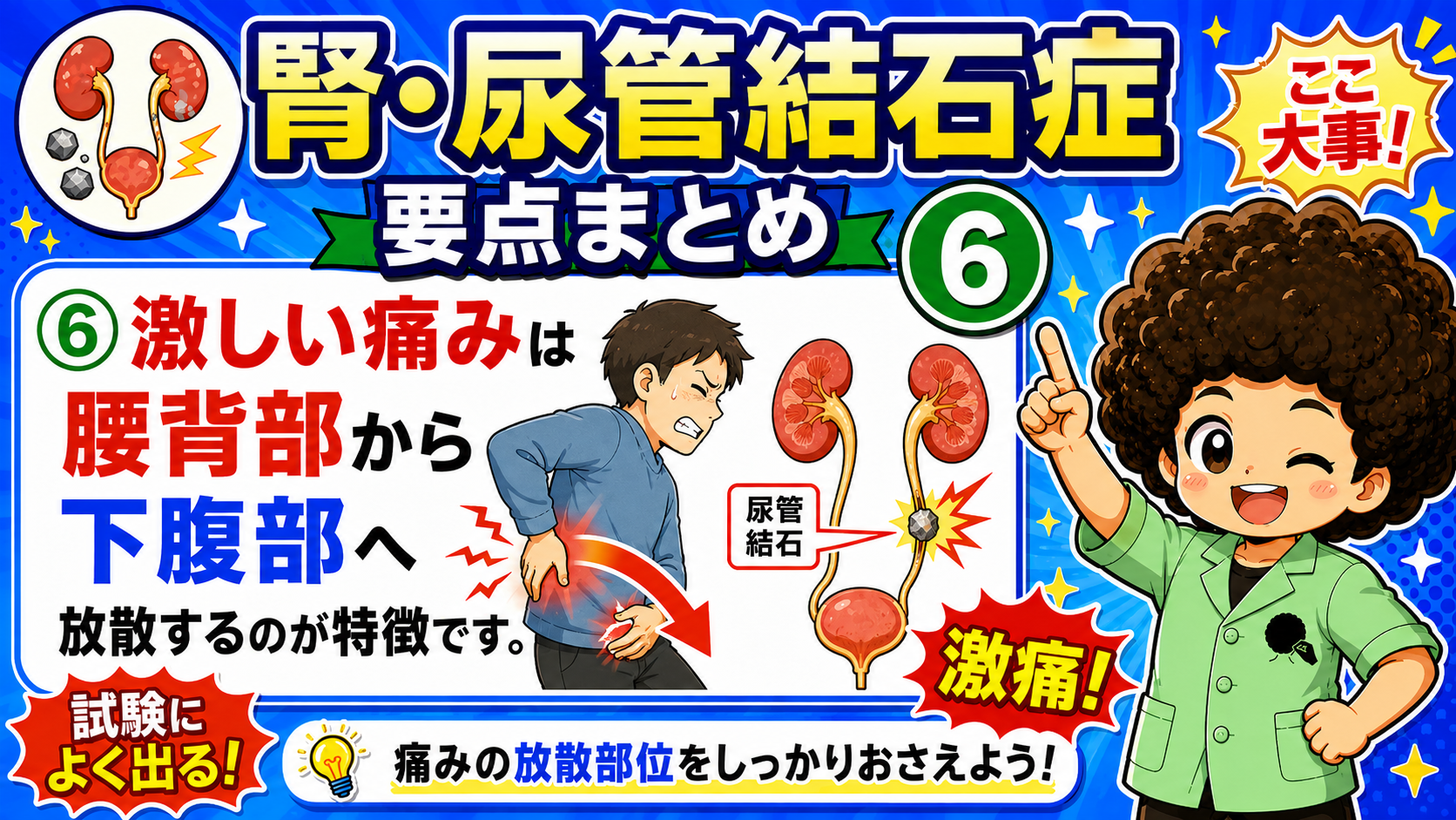 激しい痛みは腰背部から下腹部へ放散するのが特徴