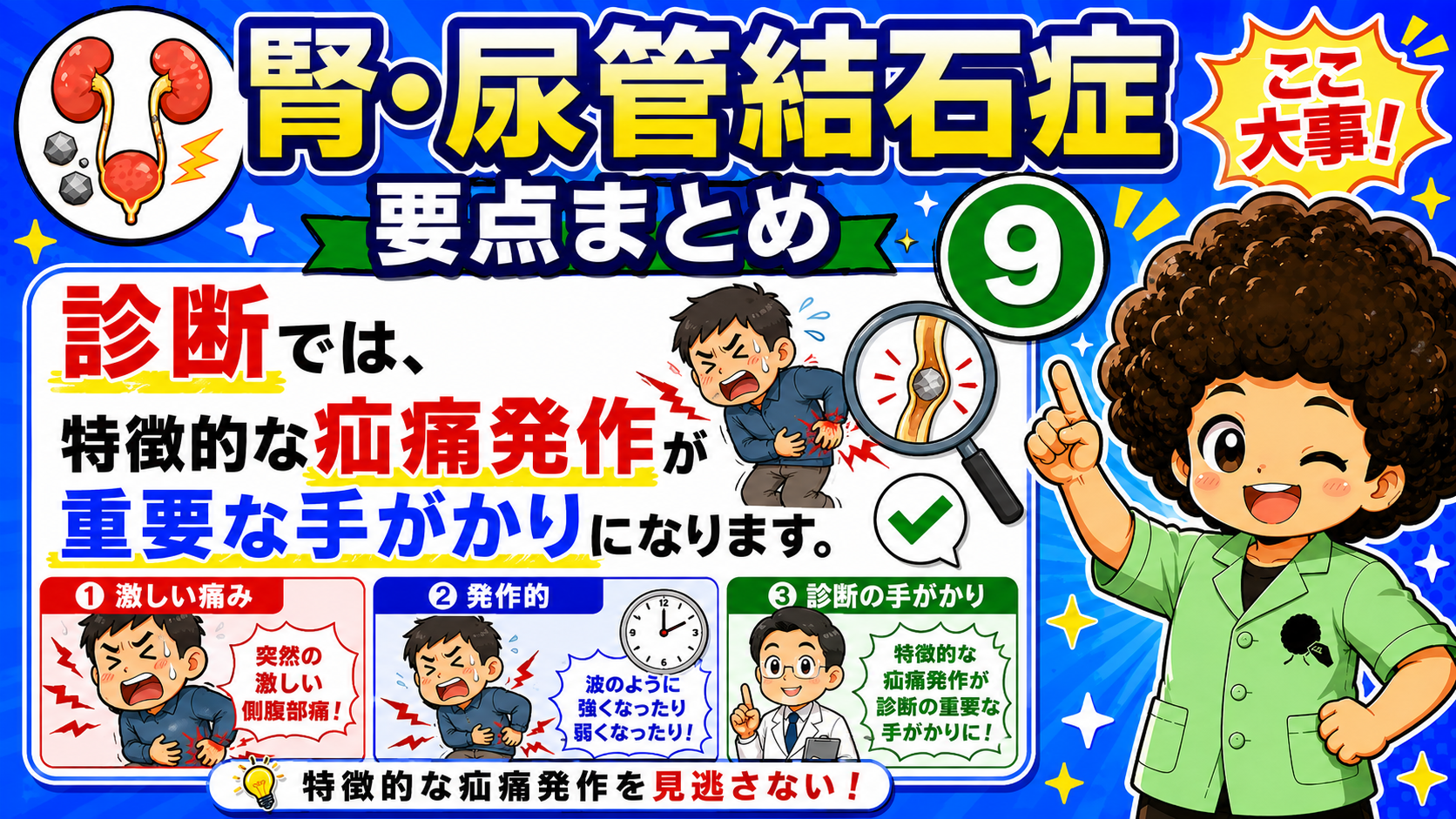 エコー検査や腎盂尿管膀胱造影検査で結石の有無や水腎症の有無を確認する