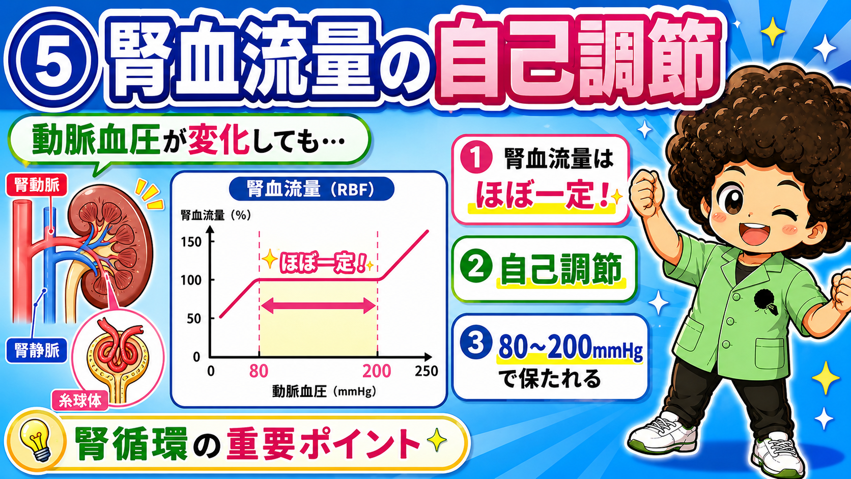 腎血流量は動脈血圧80〜200mmHgでほぼ一定に保たれる