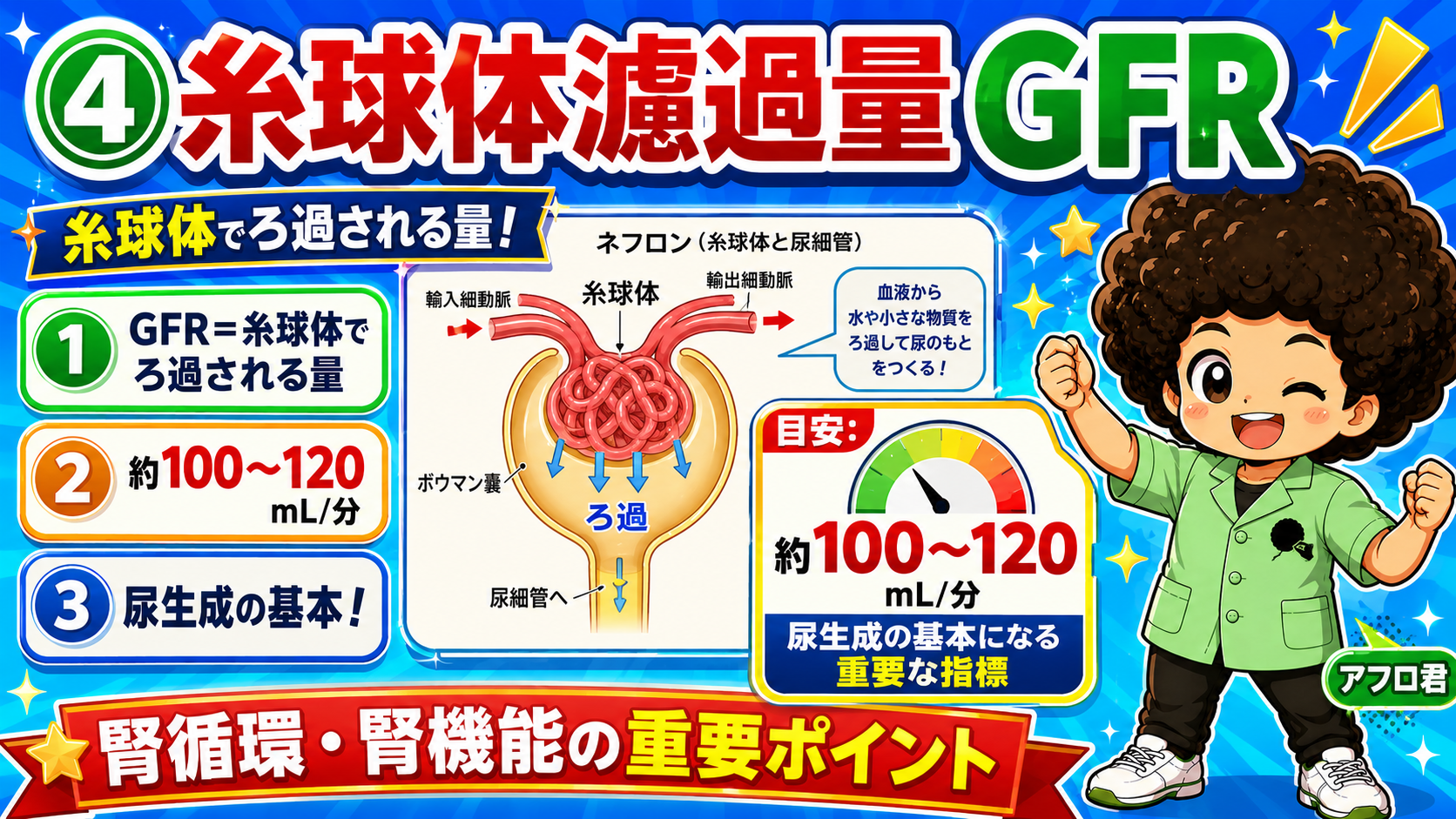 糸球体濾過量GFRは約100〜120mL/分