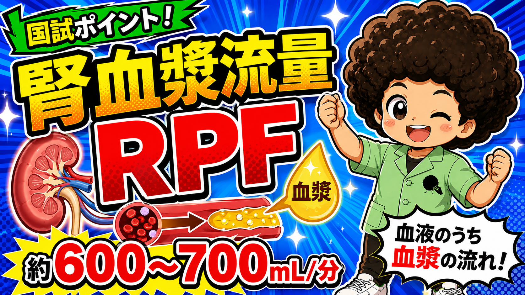 腎血漿流量（RPF）は約600〜700mL/分