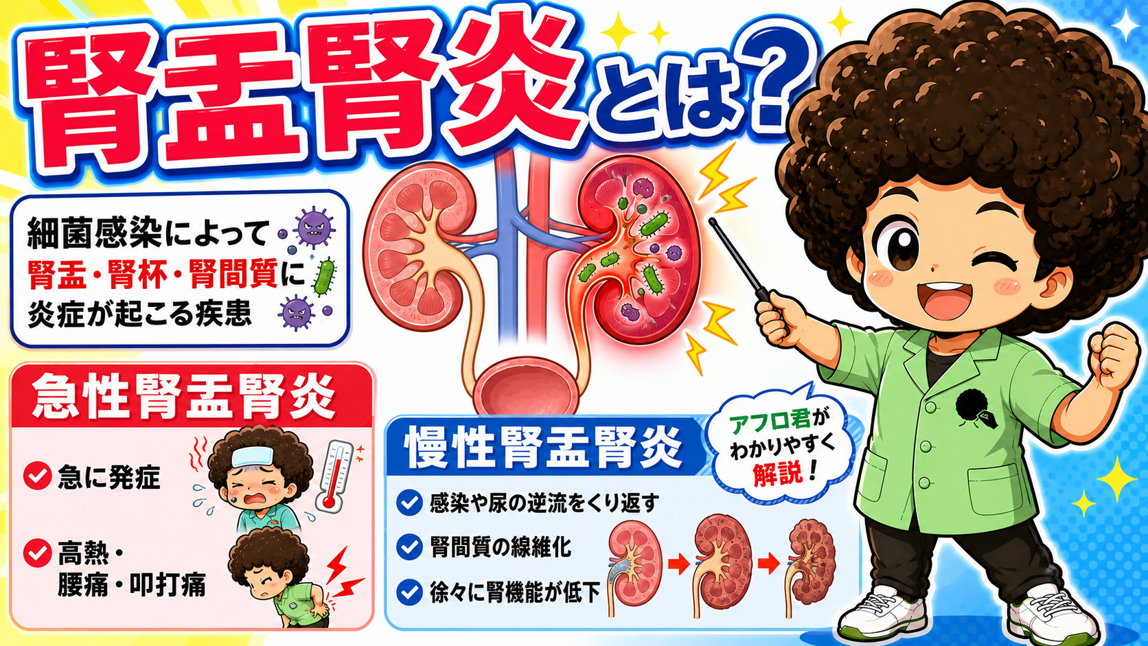 腎盂腎炎｜腎盂腎炎 1