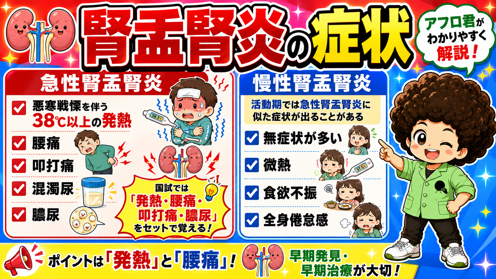 急性腎盂腎炎は「発熱・腰痛・叩打痛・膿尿」をセットで覚えるのが国試のポイント