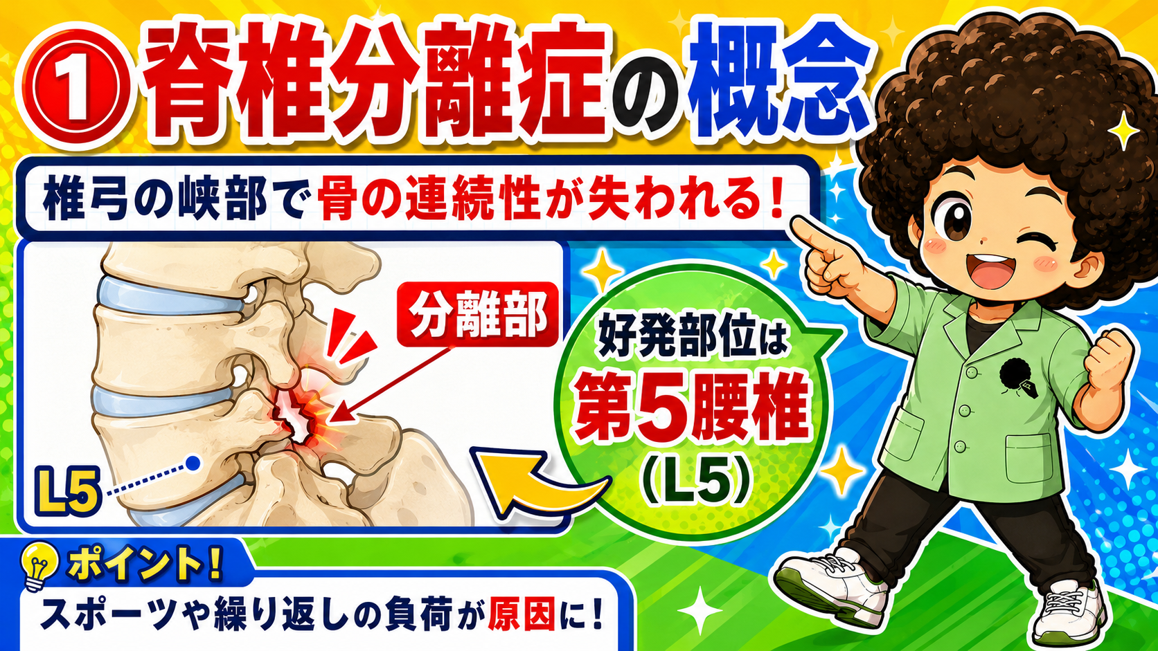 腰椎分離症・脊椎すべり症｜腰椎分離症・脊椎すべり症 1