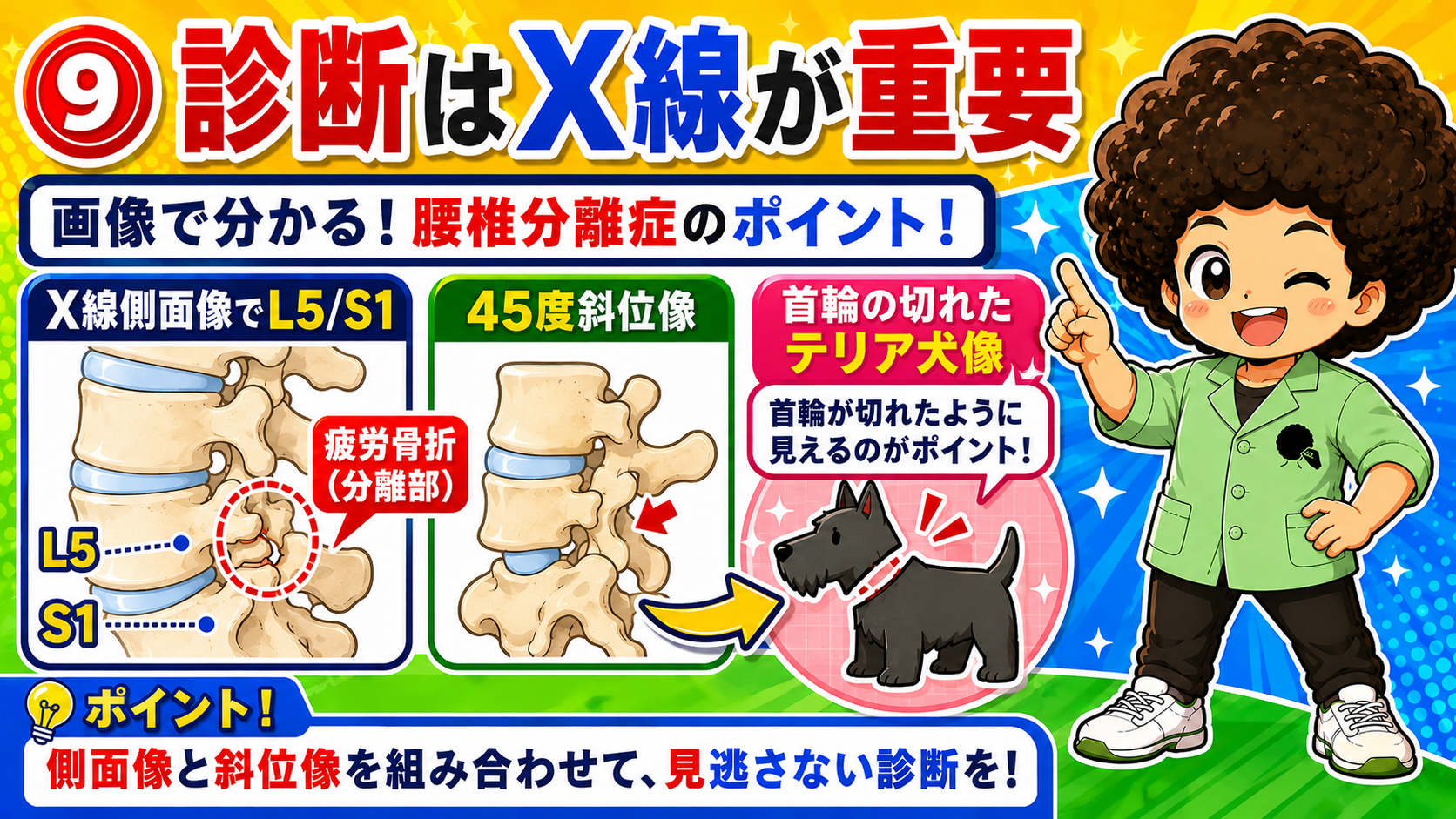 45度斜位像でみられる「首輪の切れたテリア犬像（スコッチテリア像）」
