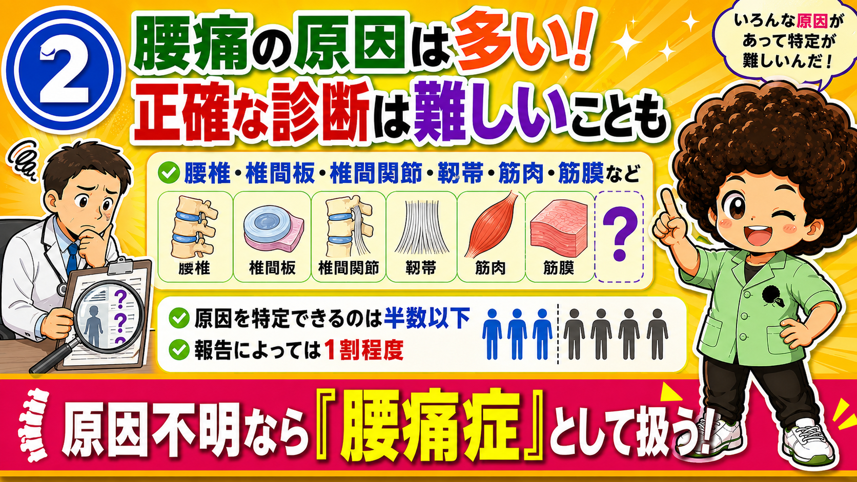 腰痛には多くの組織が関わり、原因の特定は難しい