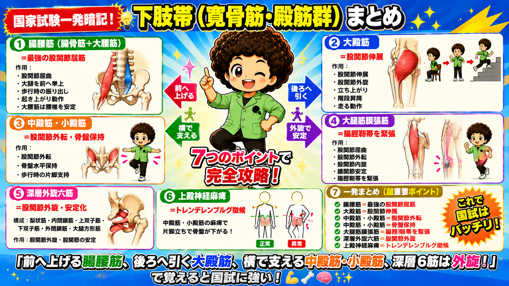 下肢帯（寛骨筋・殿筋群）まとめ図