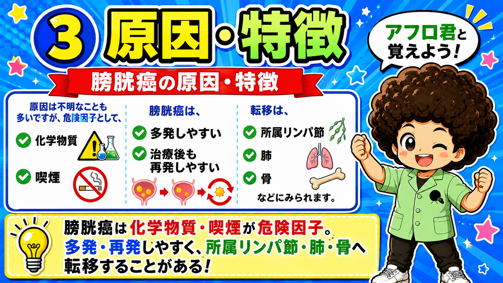膀胱癌の危険因子・特徴・転移部位