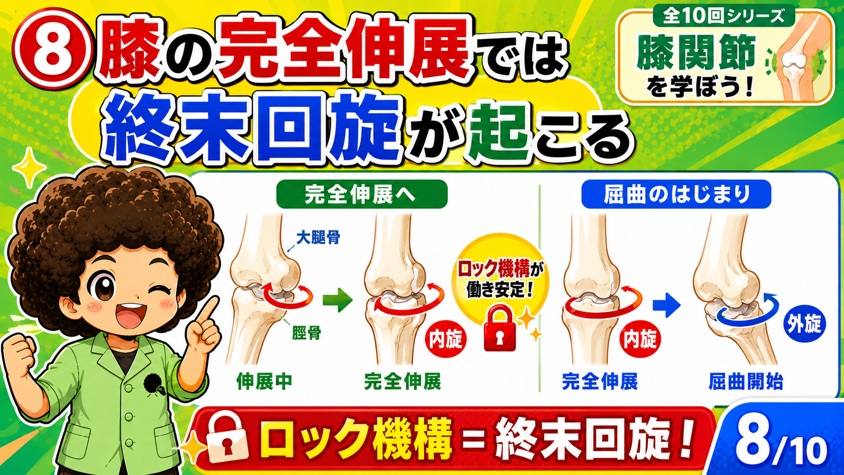 完全伸展では終末回旋が起こりロック機構が働く
