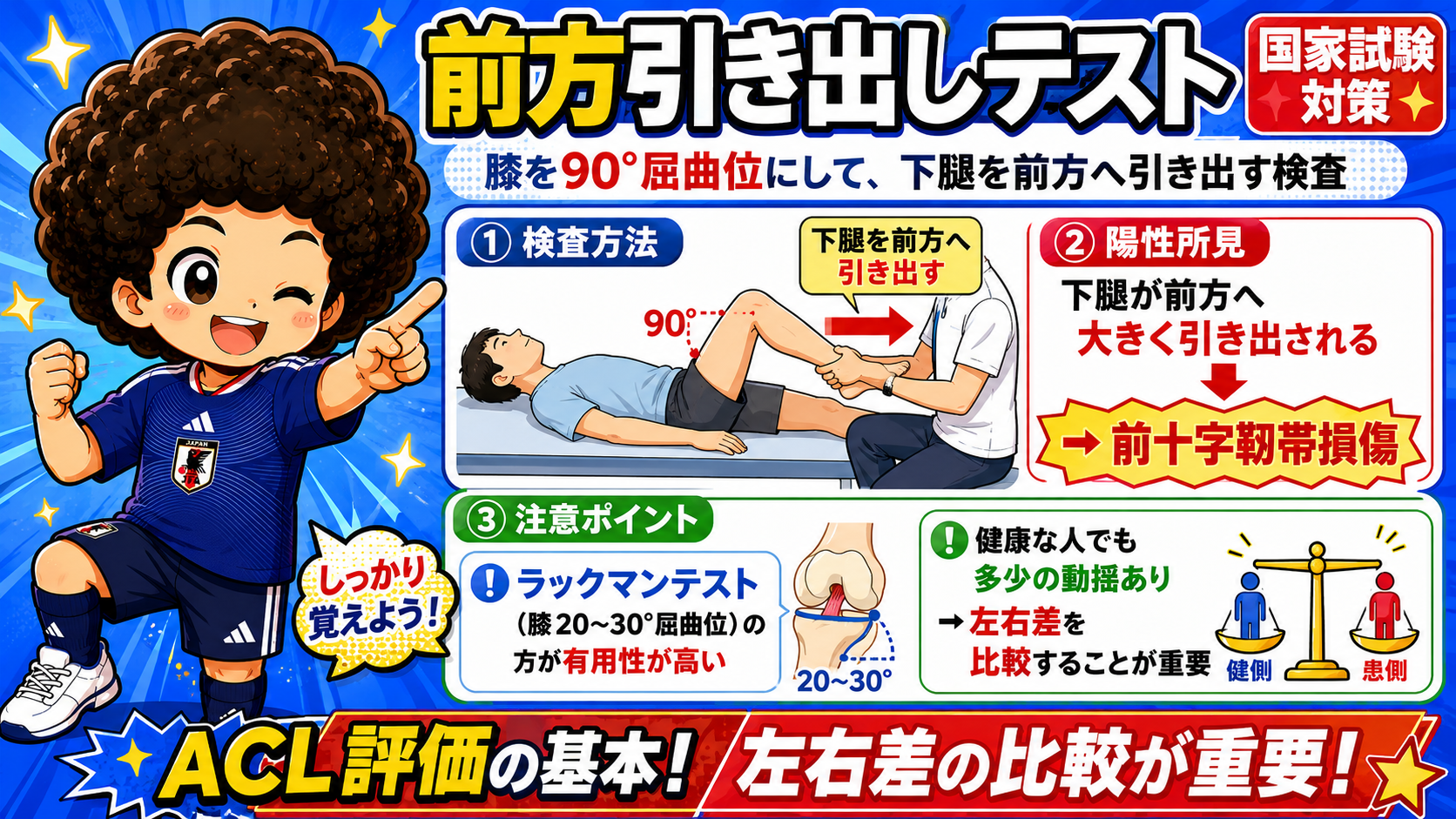 前方引き出しテストの方法・陽性所見・ラックマンテストとの比較