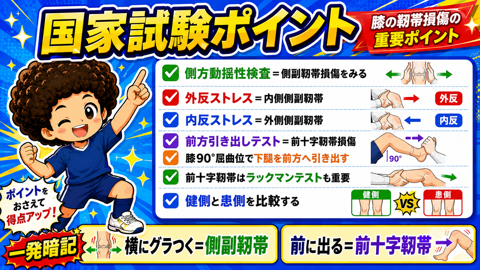 膝の靱帯損傷 国家試験ポイントまとめ
