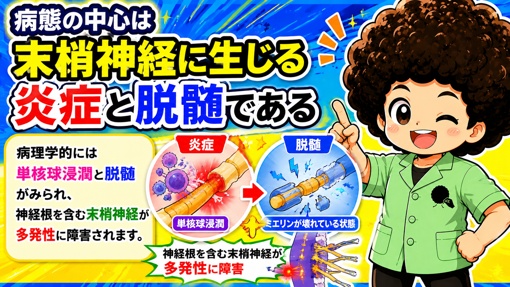 病態の中心は末梢神経の炎症と脱髄。単核球浸潤とミエリン破壊が起こる