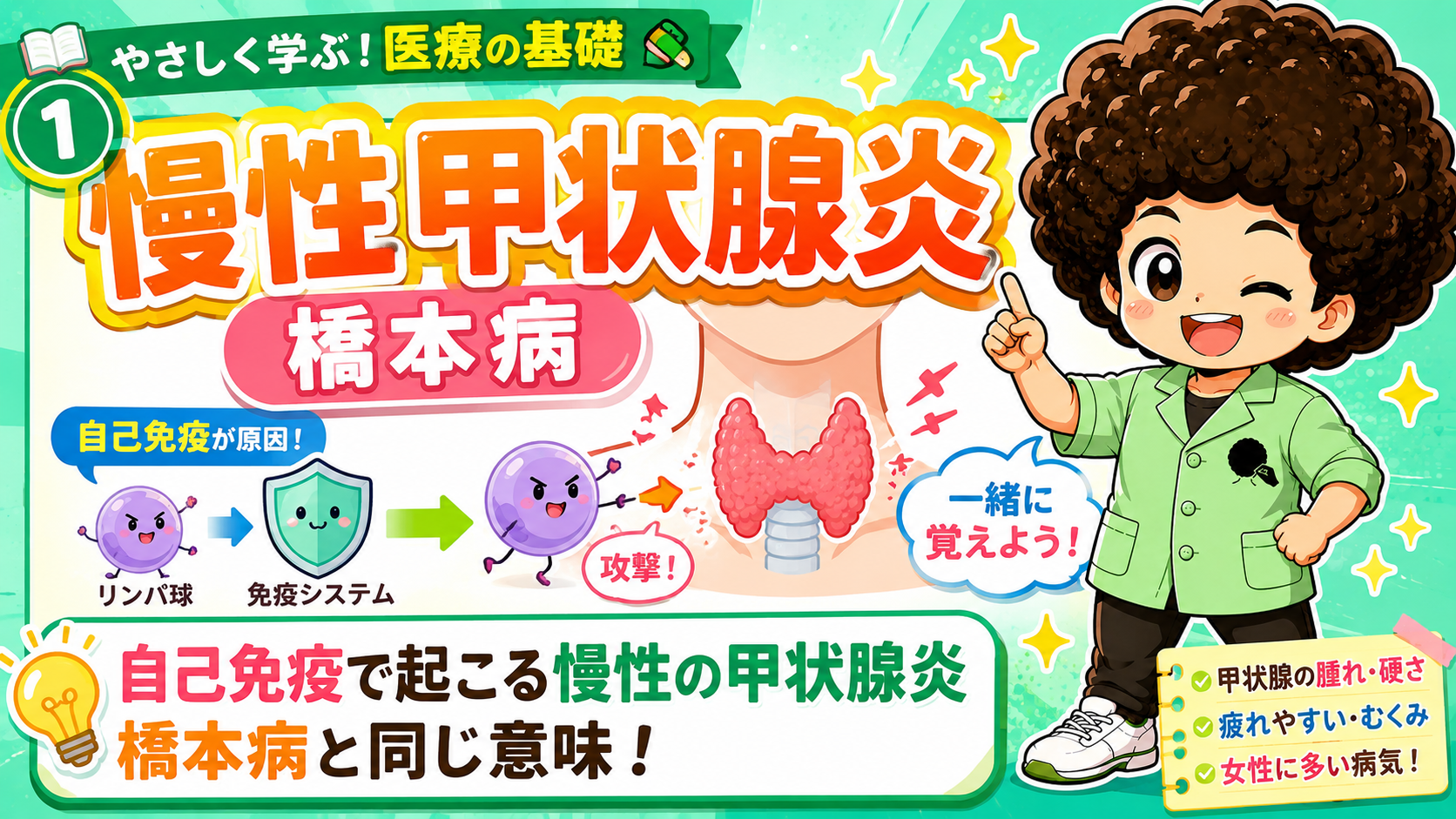橋本病（慢性甲状腺炎）｜橋本病（慢性甲状腺炎） 1