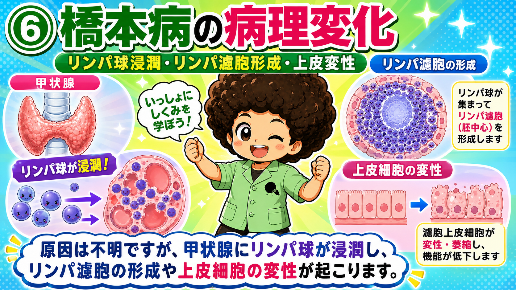 リンパ球浸潤・リンパ濾胞形成・上皮変性が特徴
