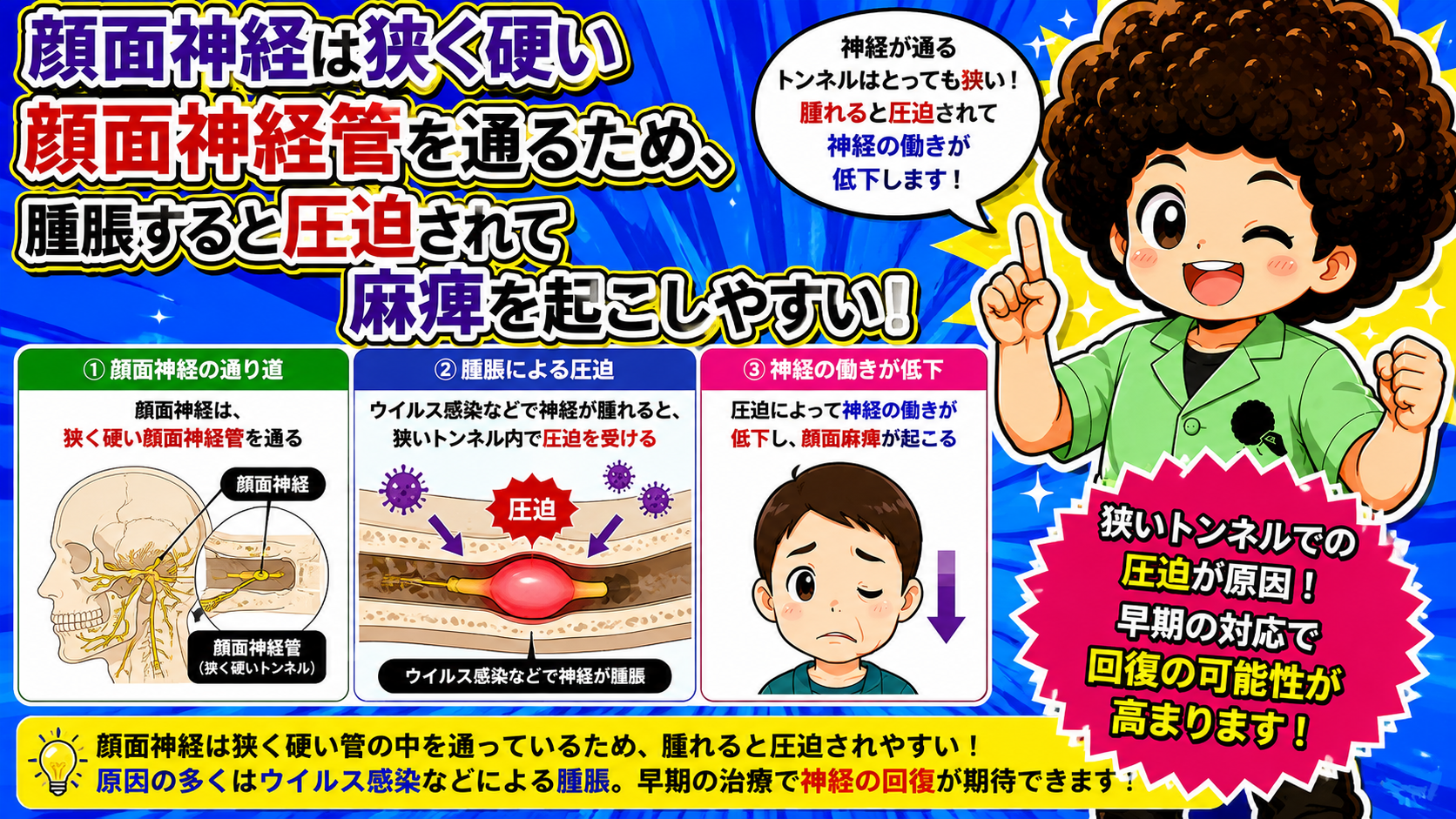 狭く硬い顔面神経管の中で神経が腫脹すると圧迫され麻痺が起こる