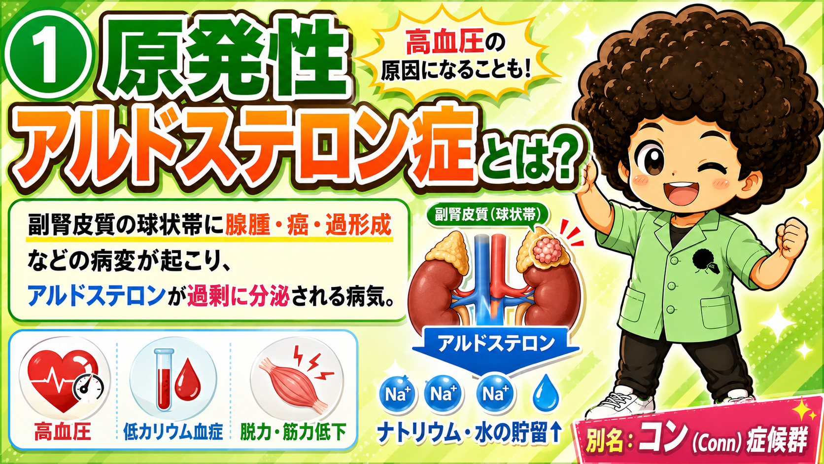 原発性アルドステロン症｜原発性アルドステロン症 1