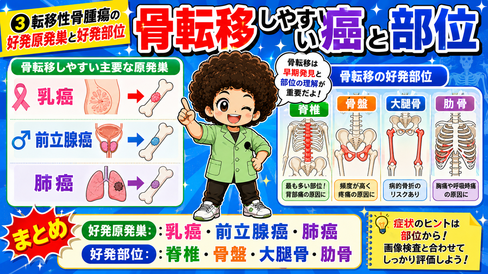 骨転移しやすい癌（乳癌・前立腺癌・肺癌）と好発部位