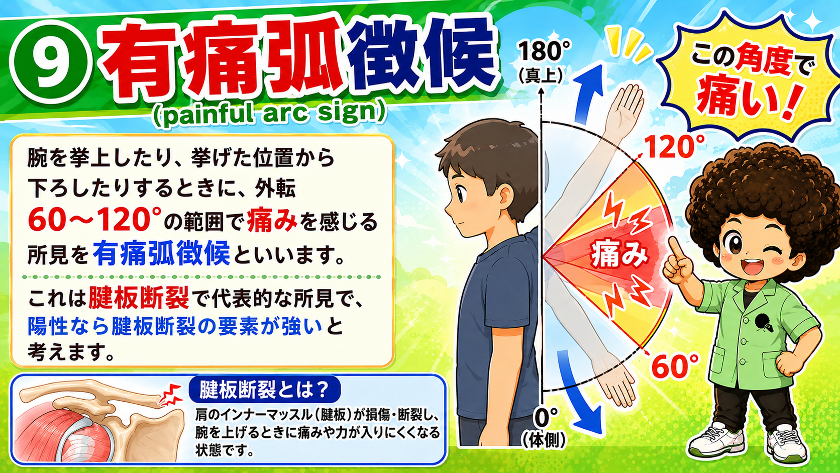 有痛弧徴候：外転60〜120°で痛みが出る所見（腱板断裂で代表的）