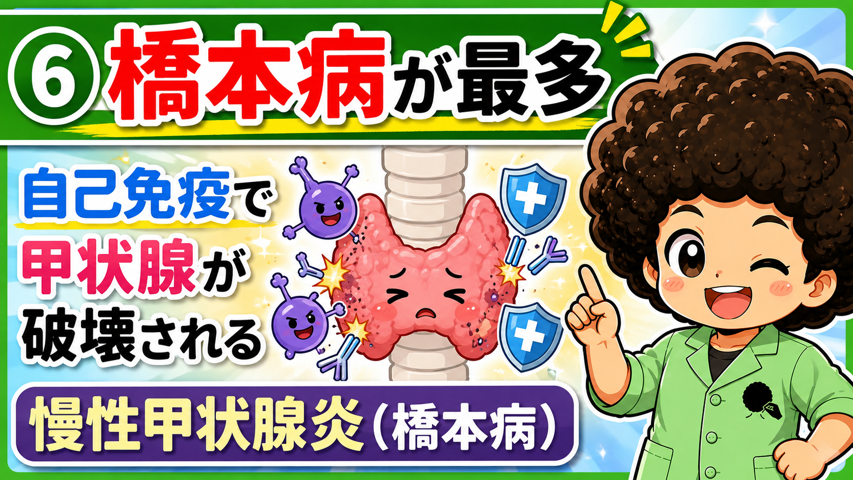 最多原因は自己免疫で甲状腺が破壊される橋本病（慢性甲状腺炎）