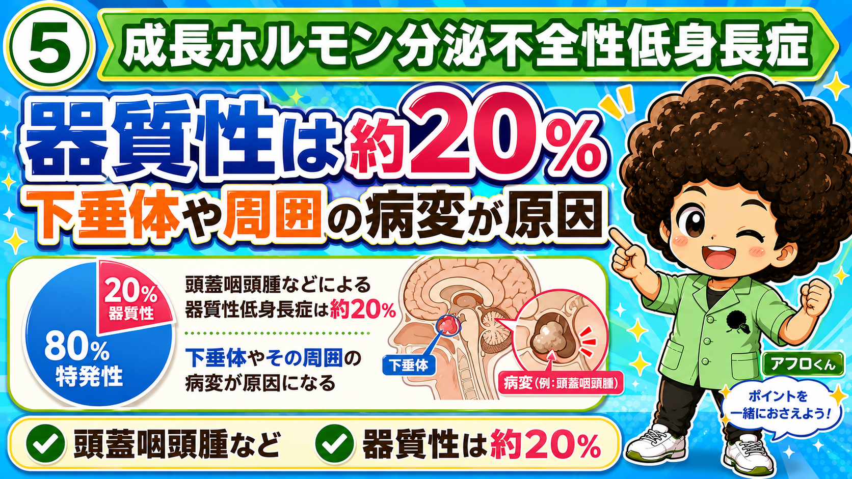 器質性は約20%。下垂体や周囲の病変（頭蓋咽頭腫など）が原因