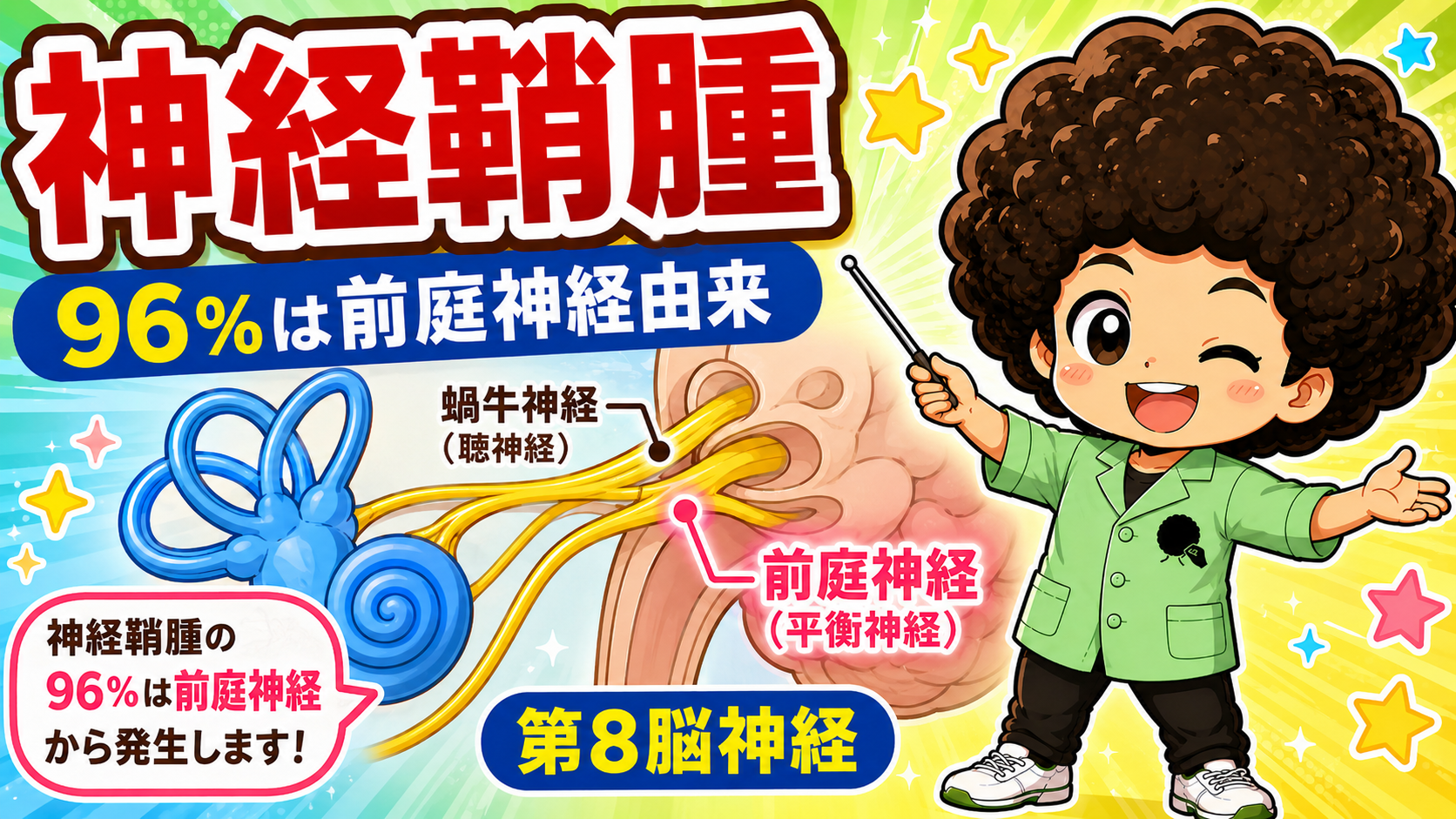 神経鞘腫の96%は第8脳神経の前庭神経から発生する