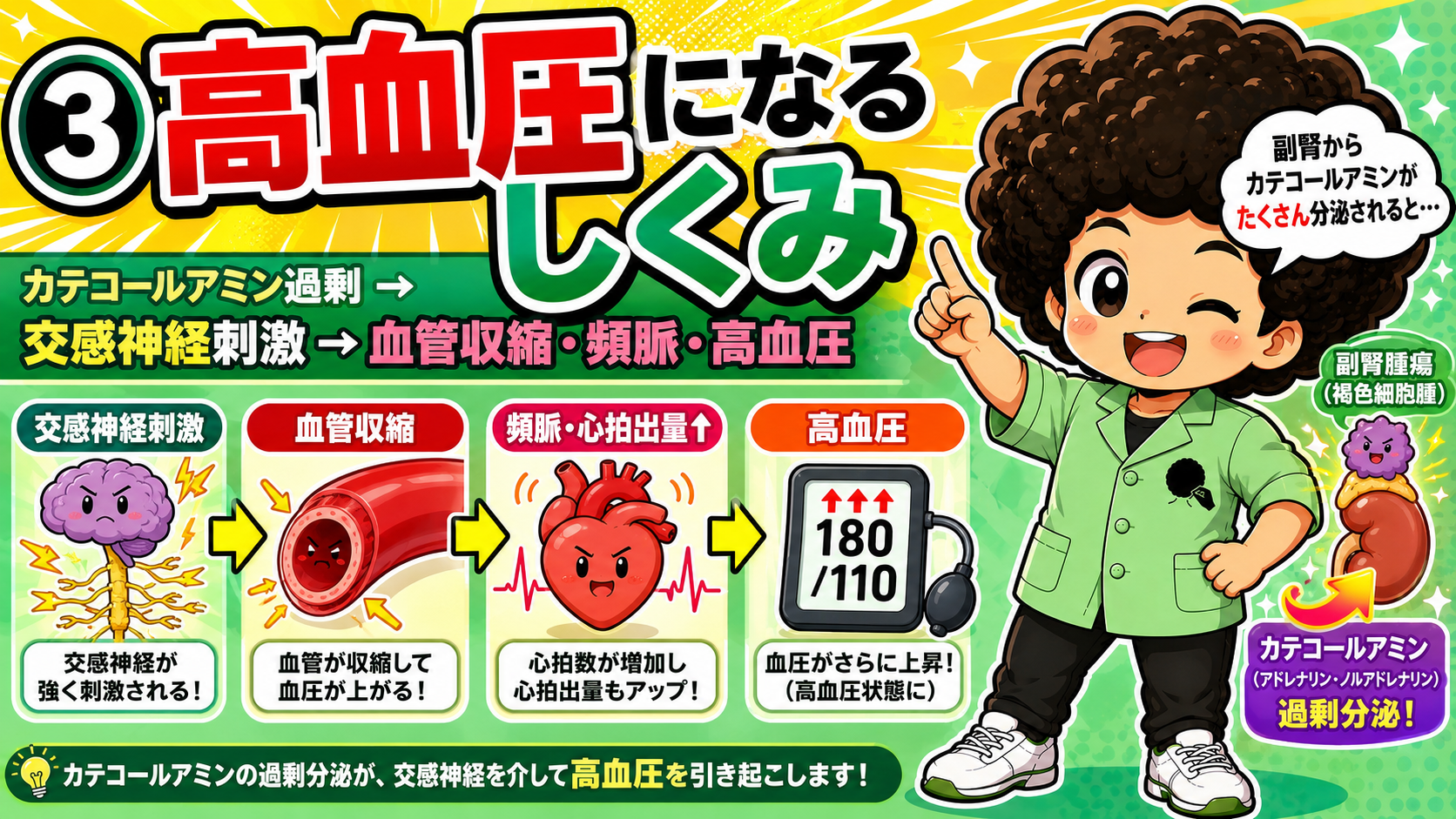 カテコールアミン過剰→交感神経刺激→血管収縮・頻脈・高血圧