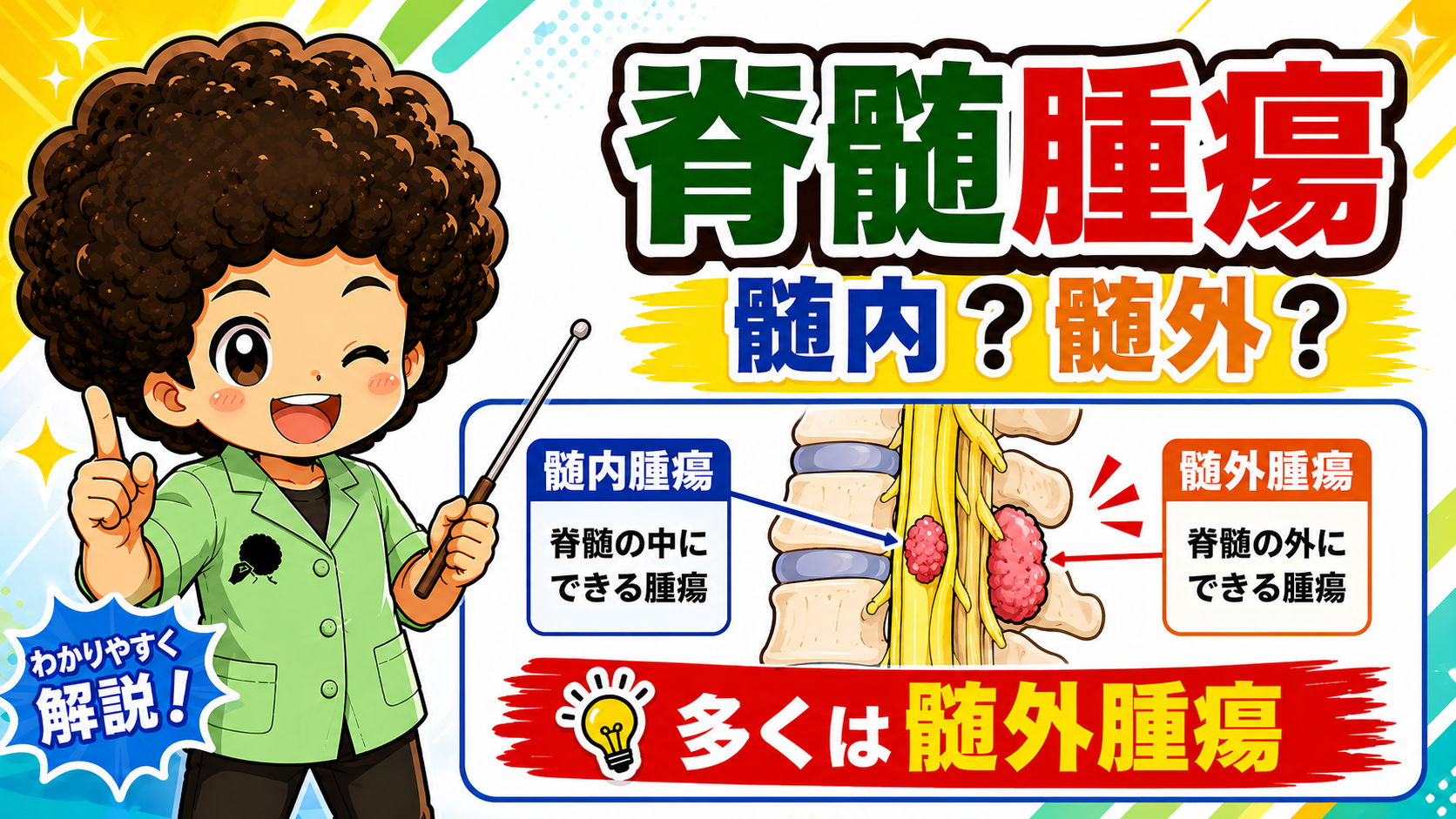 髄内腫瘍＝脊髄の中、髄外腫瘍＝脊髄の外。多くは髄外腫瘍