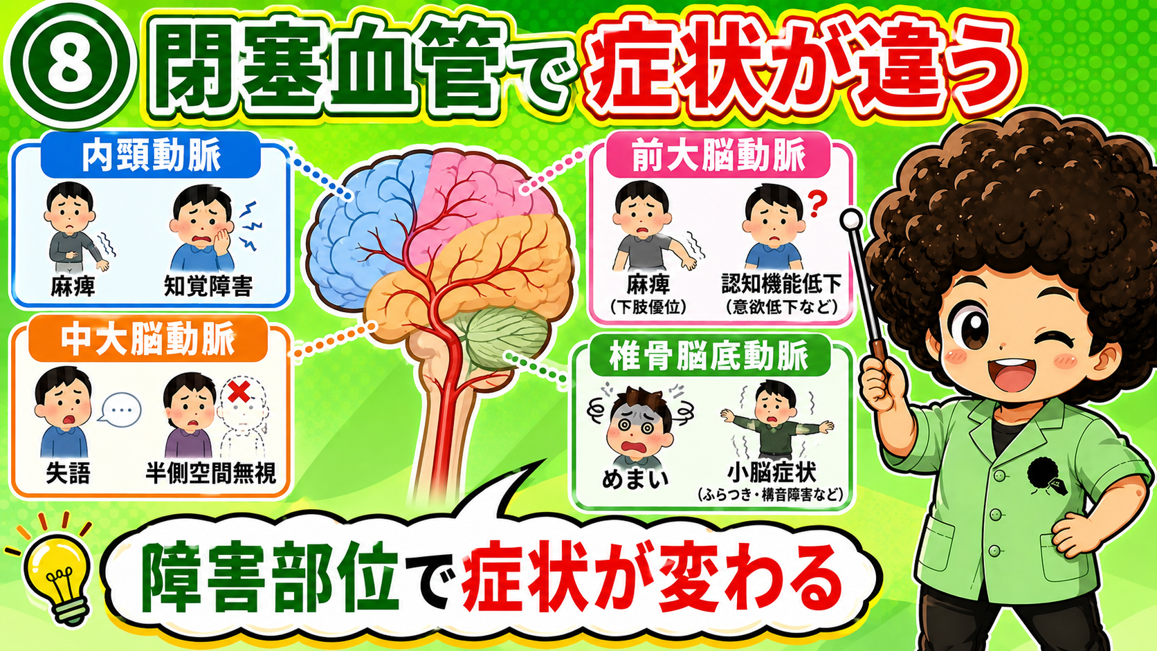 閉塞する血管ごとに現れる症状が異なる