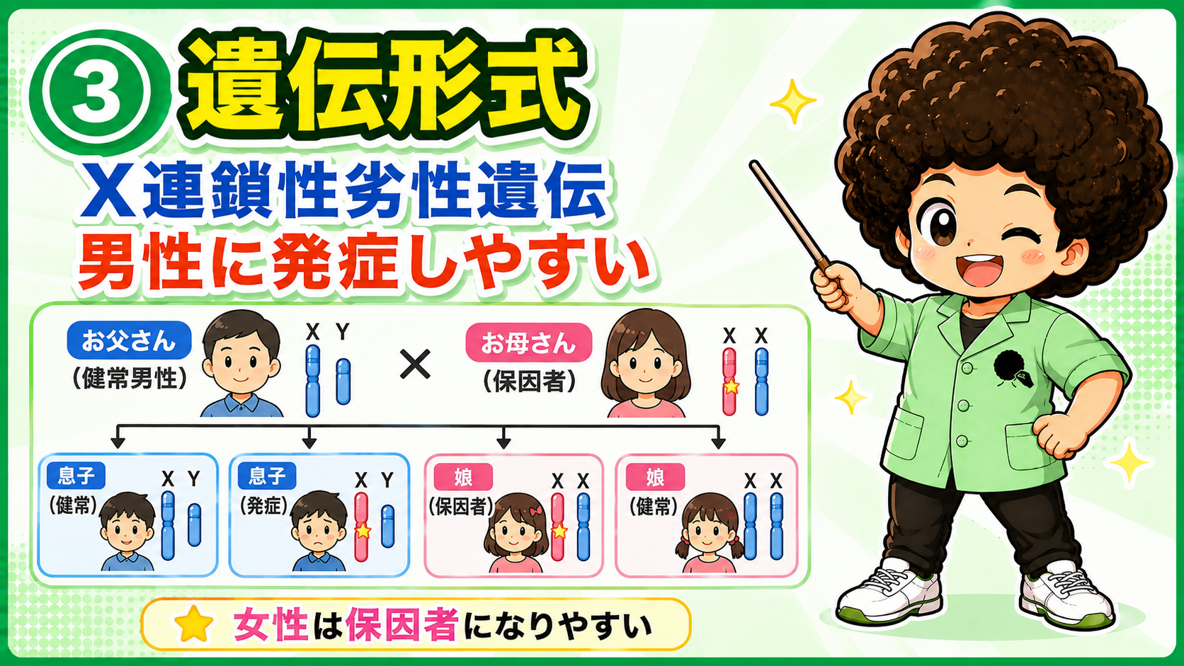 X連鎖劣性遺伝。男性に発症、女性は保因者になりやすい