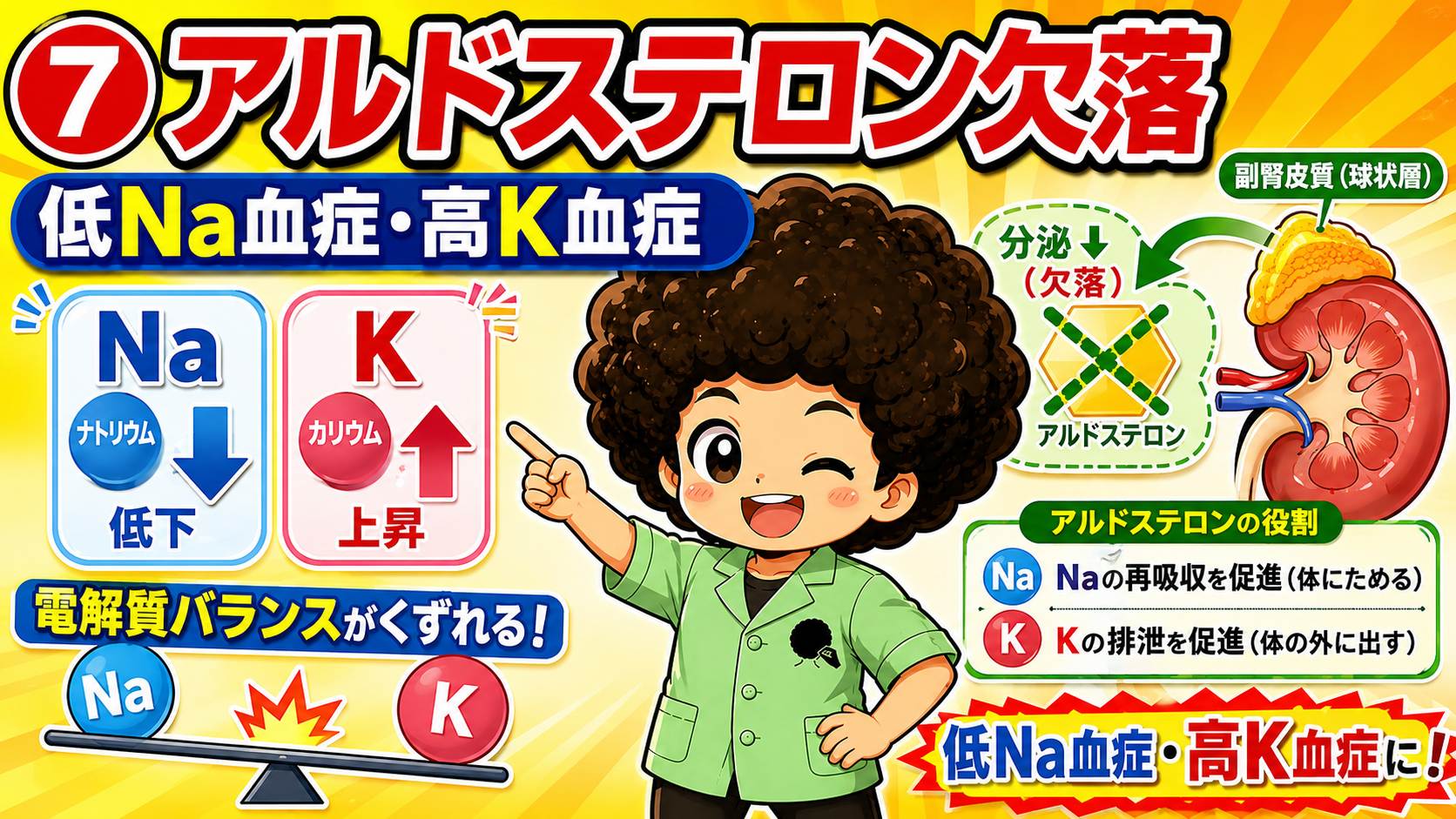 アルドステロン欠落で低Na血症・高K血症をきたす