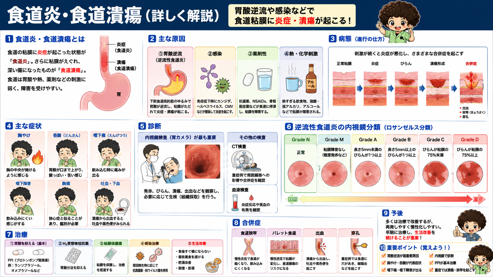 食道炎・食道潰瘍の原因・病態・症状・診断・合併症