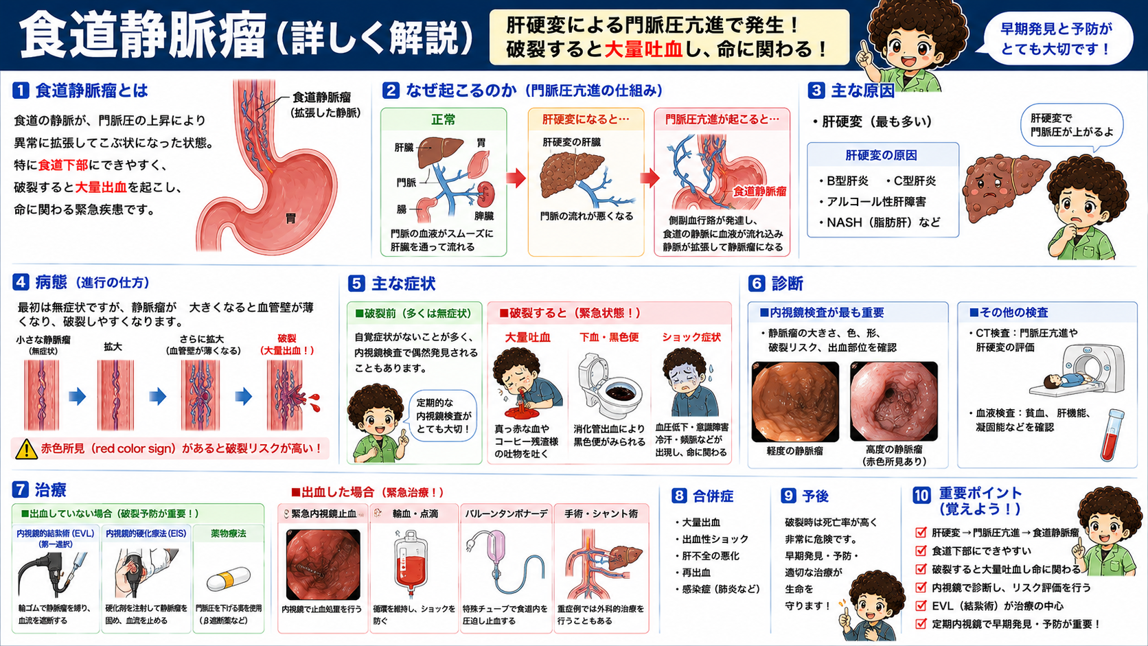食道静脈瘤の原因(門脈圧亢進の仕組み)・症状・診断・治療
