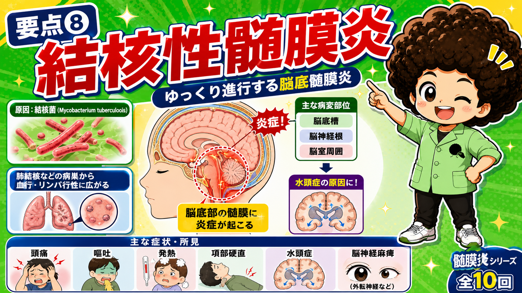 結核性髄膜炎はゆっくり進行する脳底髄膜炎。水頭症・脳神経麻痺をきたし抗結核薬多剤併用で治療