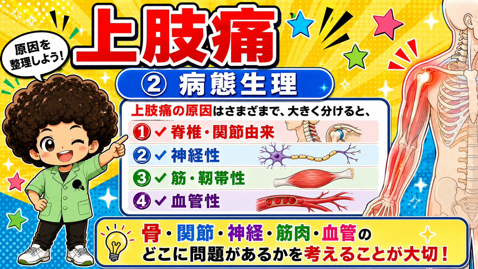 上肢痛の病態は脊椎・関節由来／神経性／筋・靱帯性／血管性の4つ