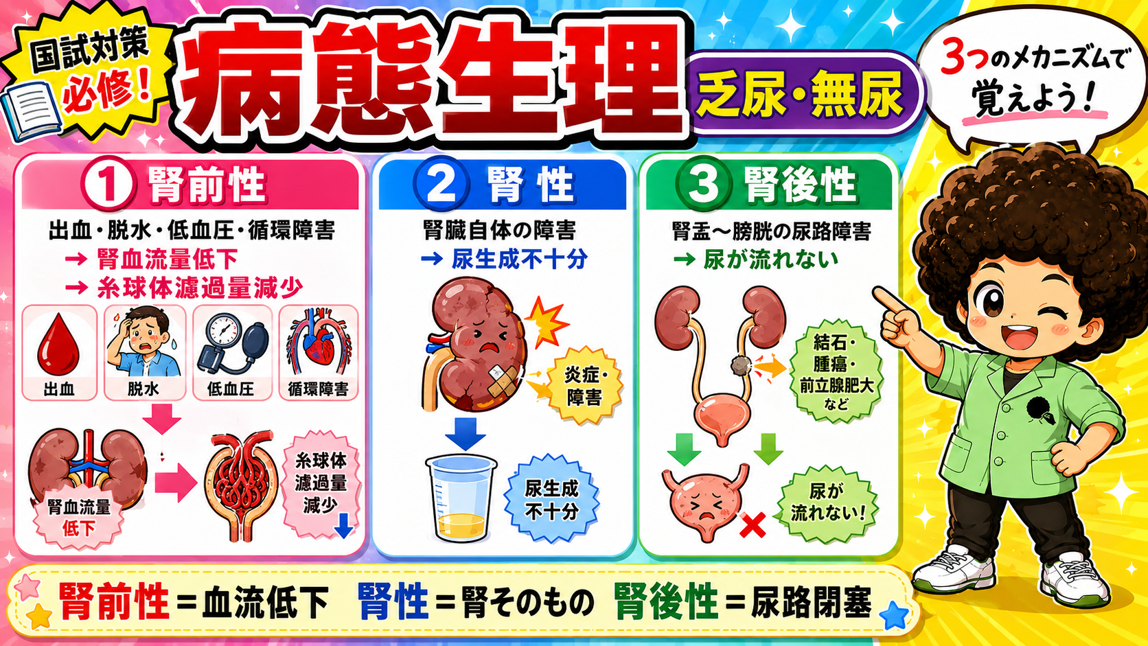 3つのメカニズム：腎血流低下・腎実質障害・尿路閉塞