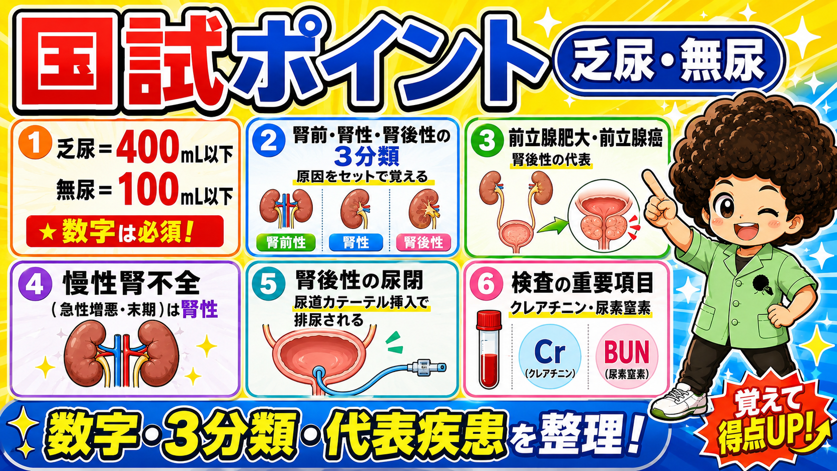 国試ポイント6項目：数字・3分類・代表疾患を整理