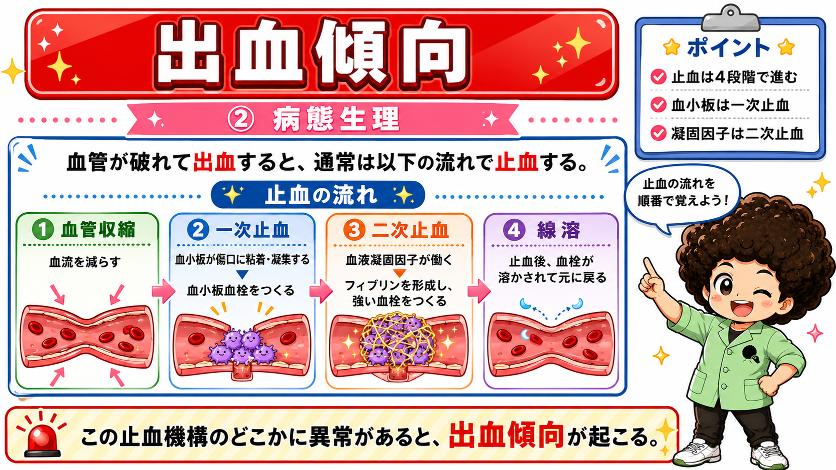 止血の流れ：血管収縮→一次止血→二次止血→線溶