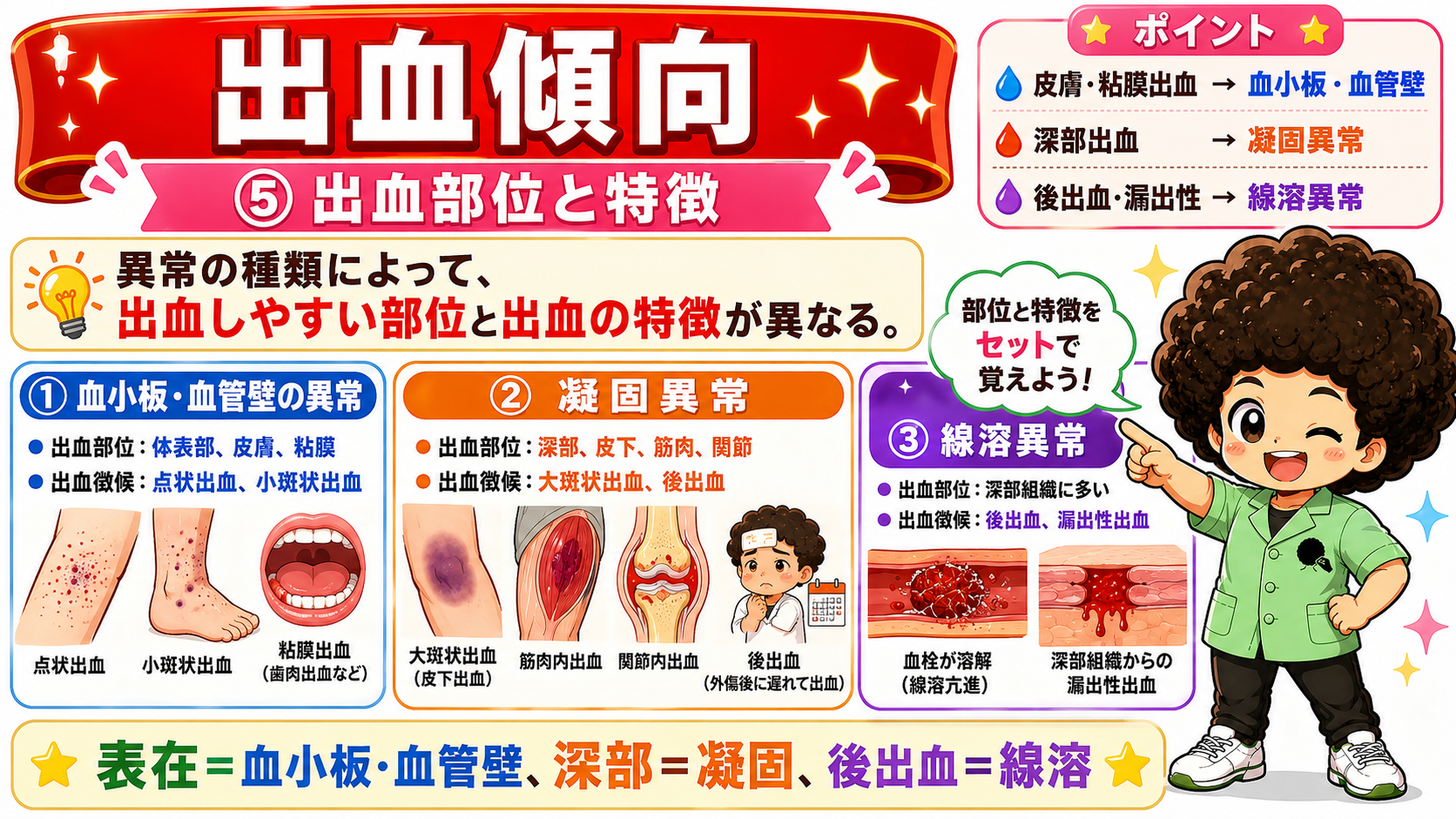 表在＝血小板・血管壁、深部＝凝固、後出血＝線溶