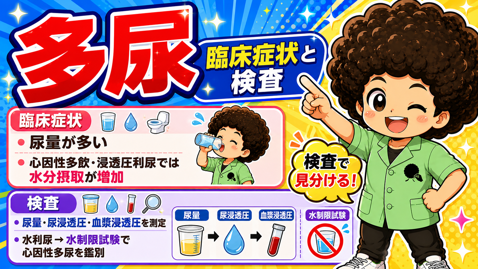 多尿の臨床症状と検査：尿量・尿浸透圧・血漿浸透圧の測定、水制限試験