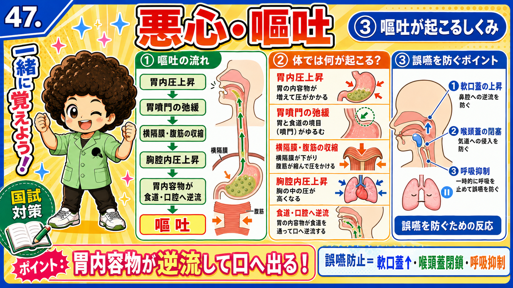 嘔吐の流れと、誤嚥防止＝軟口蓋上昇・喉頭蓋閉鎖・呼吸抑制