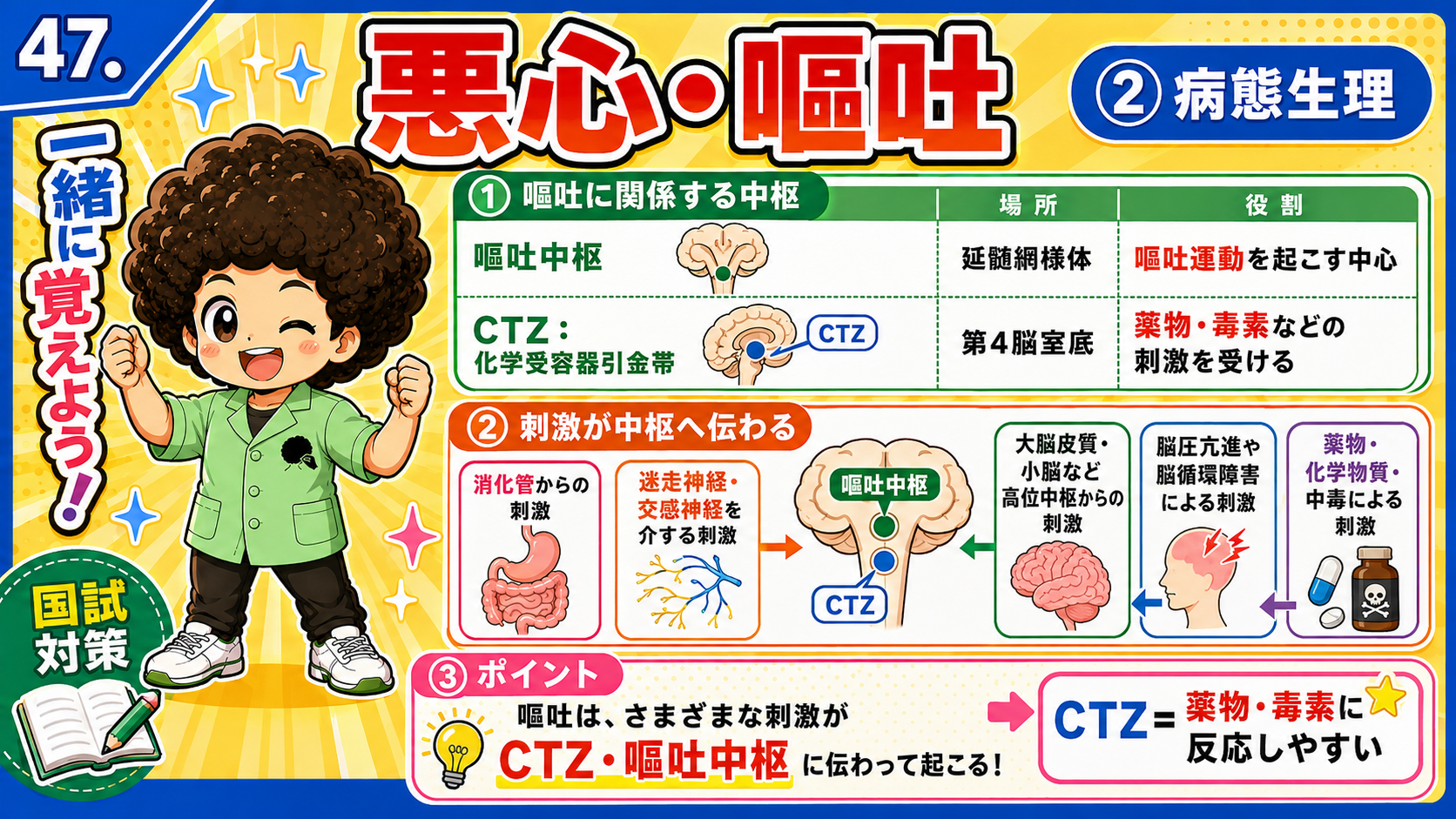 嘔吐中枢は延髄網様体、CTZは第4脳室底。薬物・毒素はCTZを刺激する