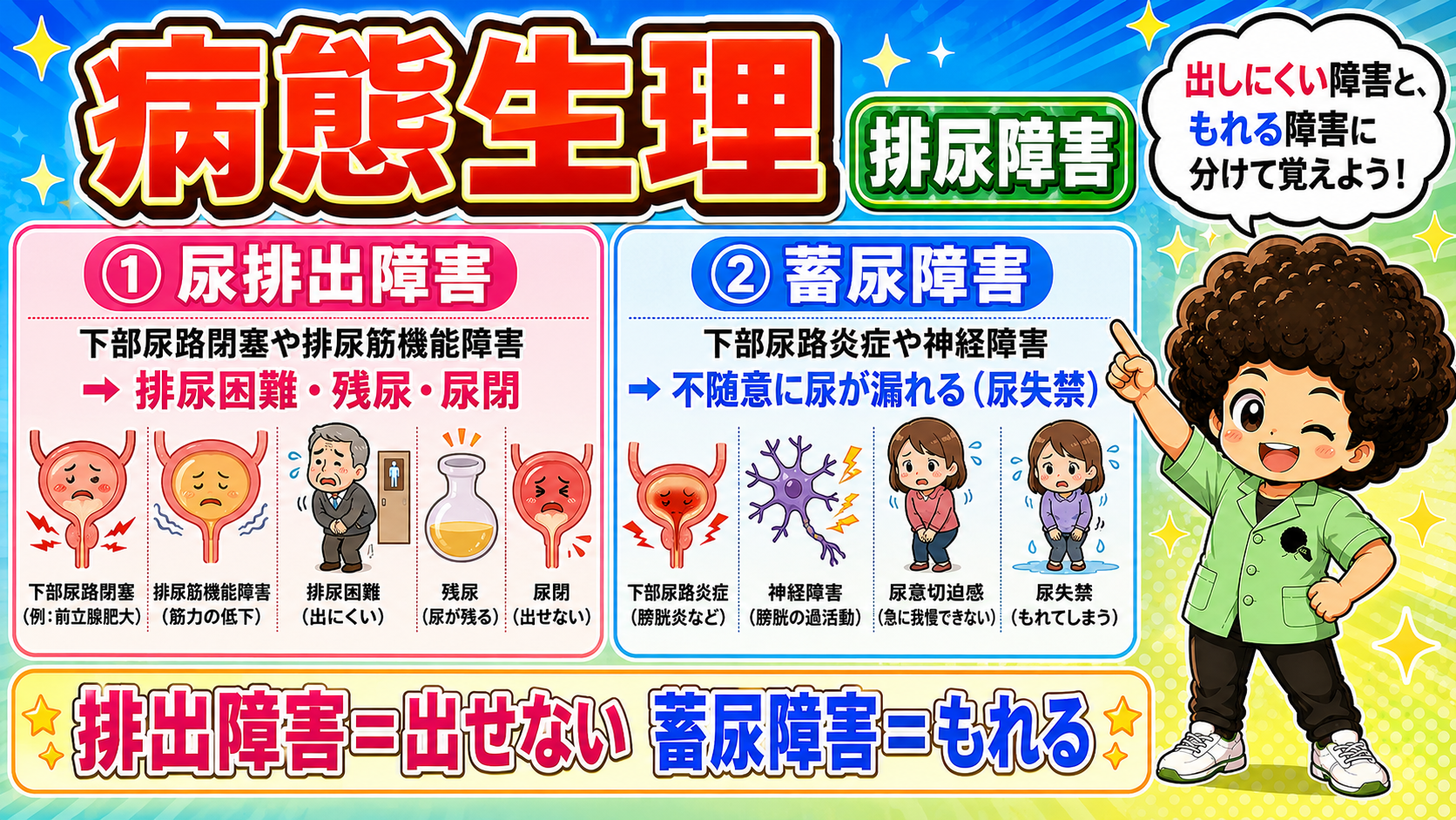 病態生理。排出障害＝出せない／蓄尿障害＝もれる