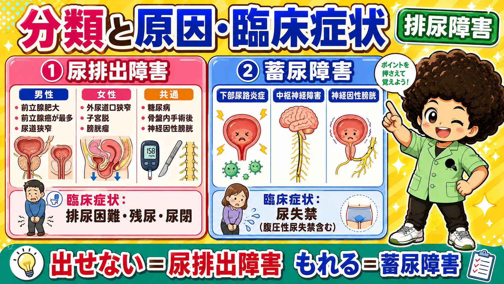 分類と原因・臨床症状。男性／女性／共通で原因を整理