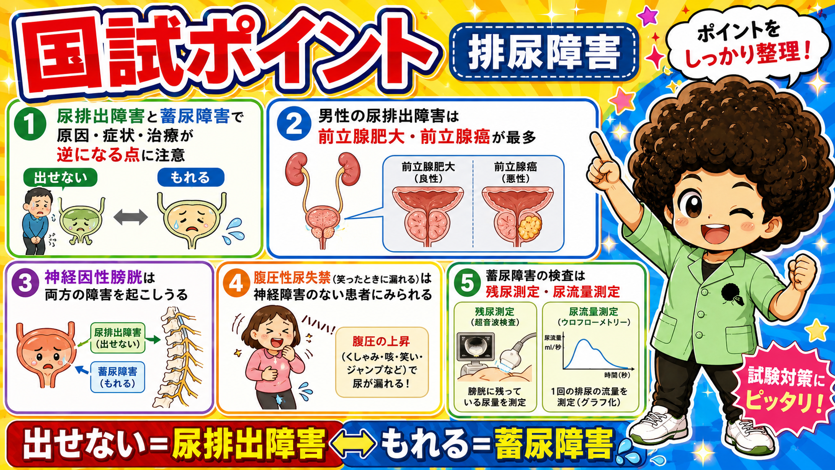 国試ポイント。出せない＝尿排出障害 ⇔ もれる＝蓄尿障害