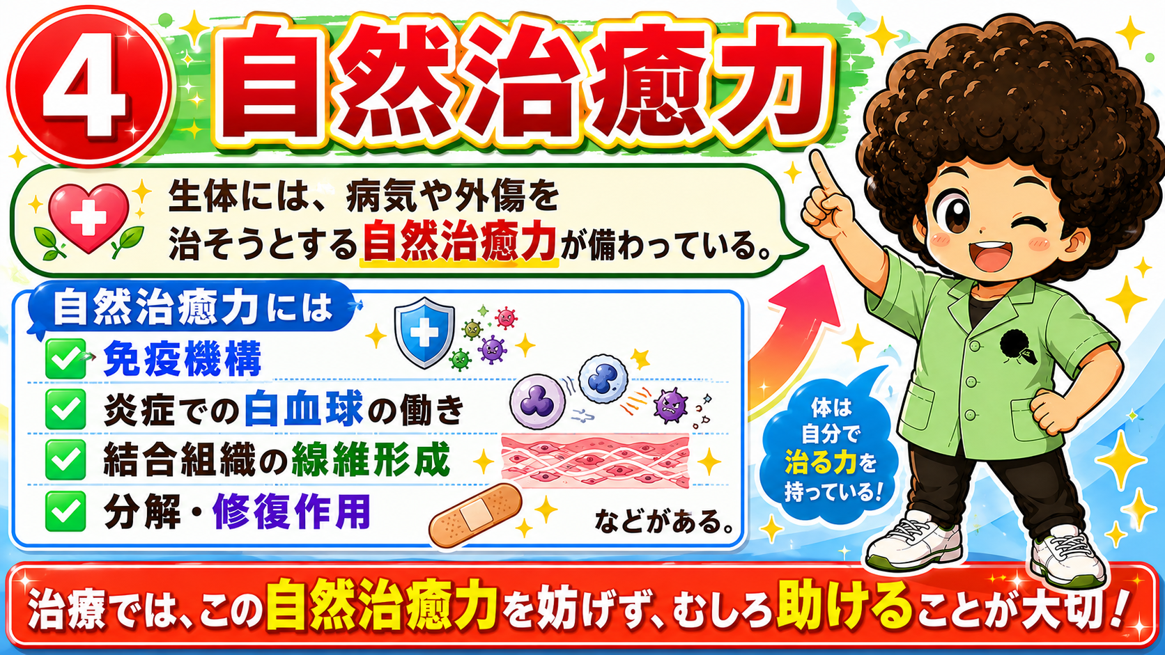 自然治癒力＝免疫機構・白血球の働き・線維形成・分解修復作用