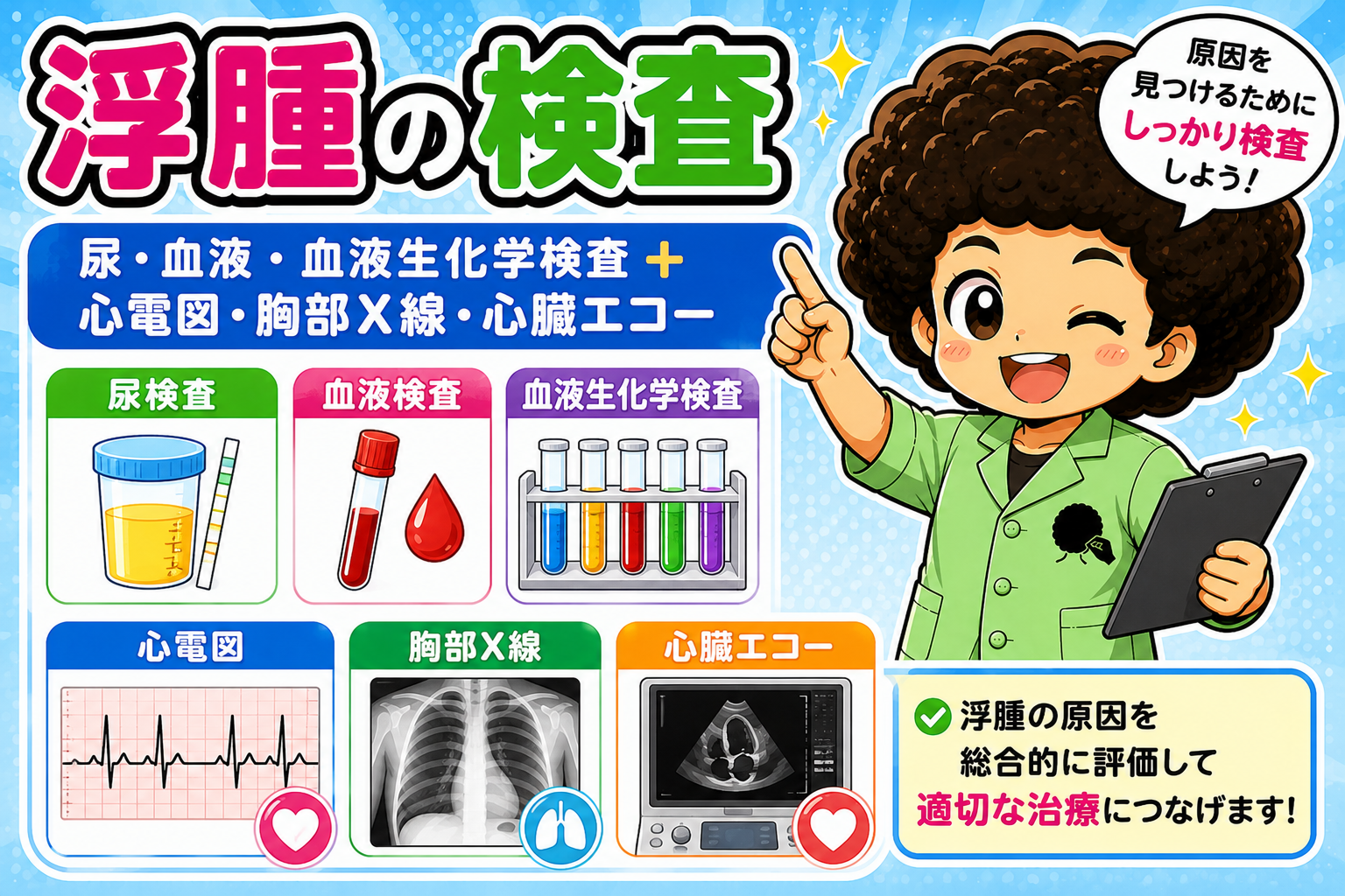浮腫の検査：尿・血液・血液生化学検査＋心電図・胸部X線・心臓エコー