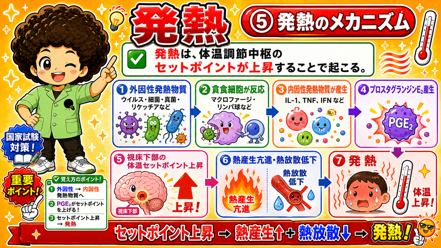 外因性発熱物質からPGE2・セットポイント上昇に至る発熱のメカニズム